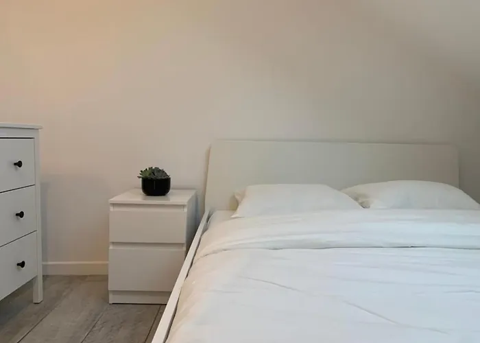 Appartement M130 Marquer Joli T2 à