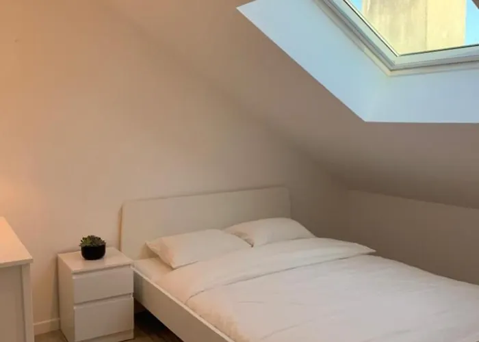 Appartement M130 Marquer Joli T2 à Annemasse