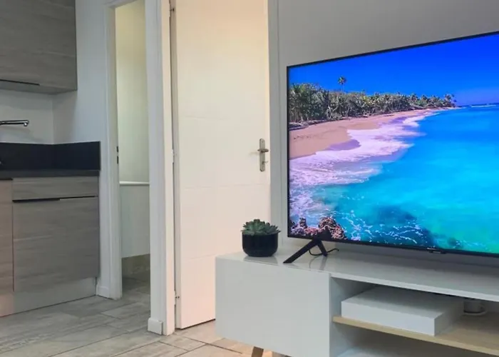 M130 Marquer Joli T2 A * Annemasse